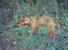 Aiko 6.11.jpg (94882 Byte)