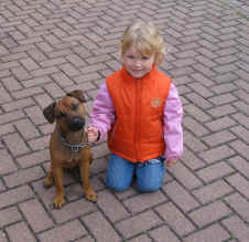 Patterdale Terrier vom Vogelgarten