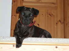 Bild 093.jpg (305551 Byte)