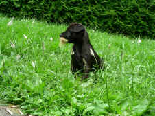 Jessy Foto 1.jpg (164763 Byte)