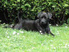 Max 27.05.2010 005.jpg (196335 Byte)