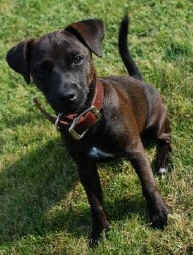 Polly 2010 .32.jpg (40035 Byte)
