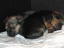 Q09.12.2010 005.1jpg.jpg (109890 Byte)
