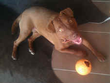 Siggi 2011 3.jpg (317138 Byte)