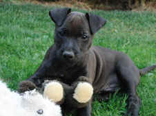 09.09.2012 Todd 176.jpg (130075 Byte)
