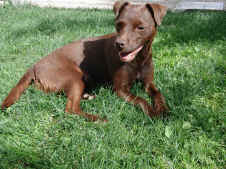 Tilly 31.07.2012 155.jpg (232473 Byte)
