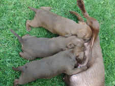 U 31.07.2012 025.jpg (180785 Byte)