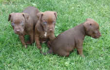 U 31.07.2012 116.jpg (169706 Byte)