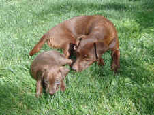 U 31.07.2012 146.jpg (228876 Byte)
