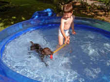 Wasserratten.jpg (74244 Byte)