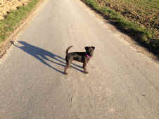 Xena 20.02.14.jpeg (193809 Byte)