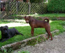 oTilly03.10.2010 018.jpg (173891 Byte)